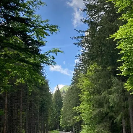 Διαμέρισμα Val Di Luce Relax Cristallo *